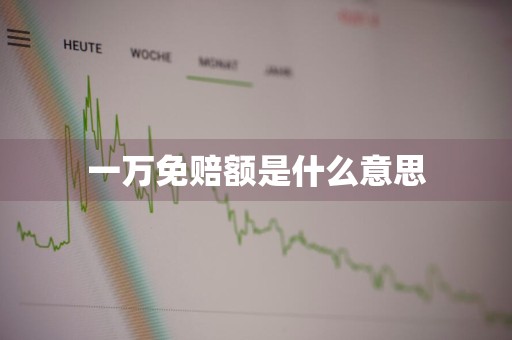 一万免赔额是什么意思