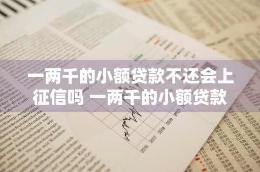 一两千的小额贷款不还会上征信吗 一两千的小额贷款不还会上征信吗知乎