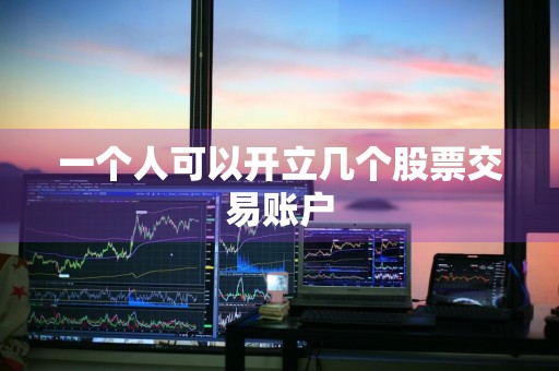 一个人可以开立几个股票交易账户