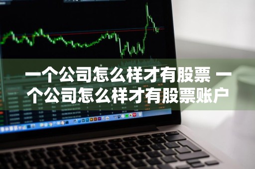 一个公司怎么样才有股票 一个公司怎么样才有股票账户