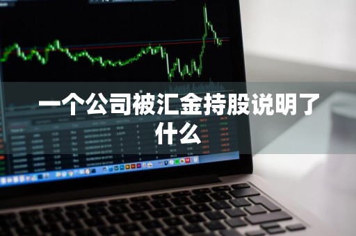 一个公司被汇金持股说明了什么