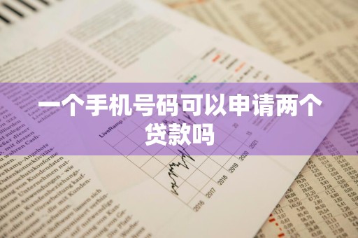 一个手机号码可以申请两个贷款吗
