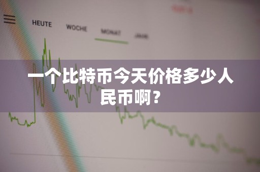 一个比特币今天价格多少人民币啊？