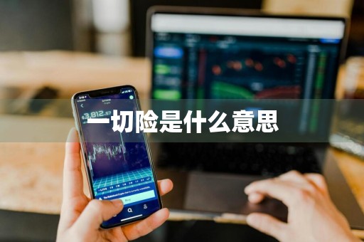 一切险是什么意思