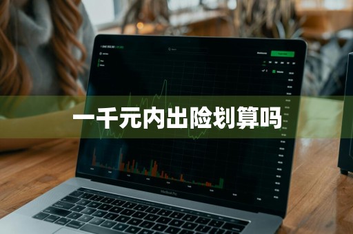 一千元内出险划算吗