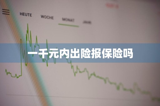 一千元内出险报保险吗