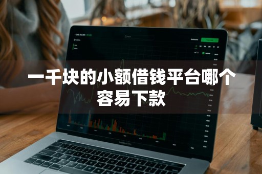 一千块的小额借钱平台哪个容易下款