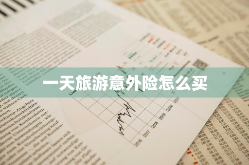一天旅游意外险怎么买
