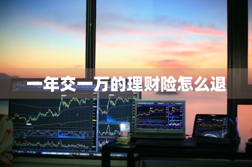 一年交一万的理财险怎么退