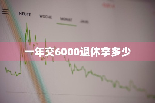 一年交6000退休拿多少