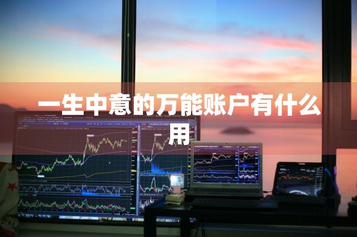 一生中意的万能账户有什么用