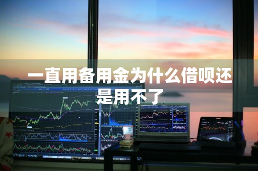 一直用备用金为什么借呗还是用不了