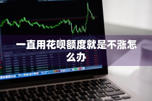一直用花呗额度就是不涨怎么办