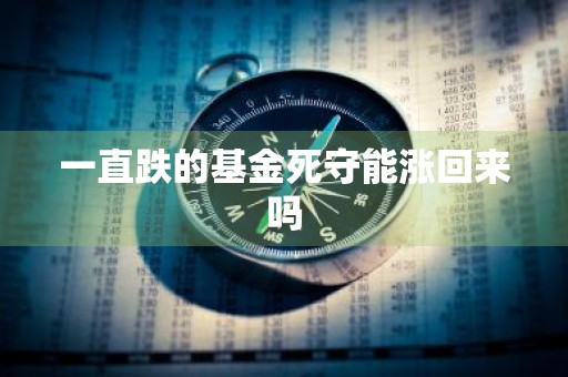 一直跌的基金死守能涨回来吗