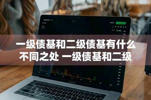 一级债基和二级债基有什么不同之处 一级债基和二级债基有什么不同之处呢