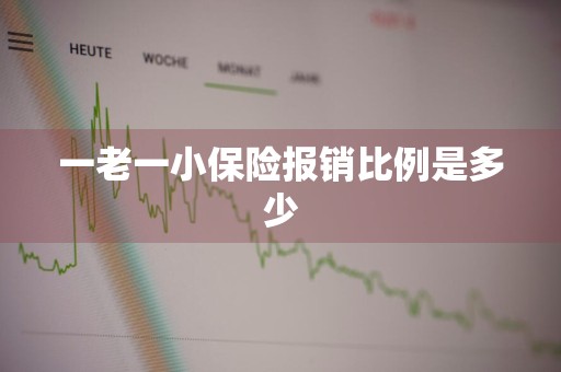 一老一小保险报销比例是多少