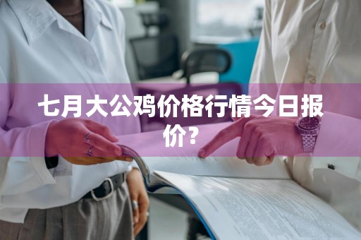 七月大公鸡价格行情今日报价？