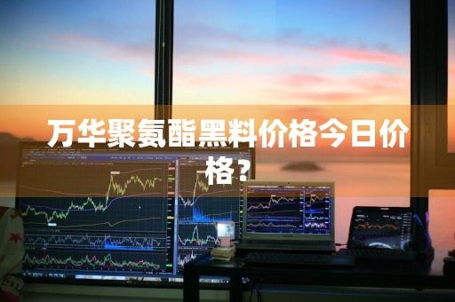 万华聚氨酯黑料价格今日价格？