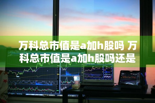 万科总市值是a加h股吗 万科总市值是a加h股吗还是c股