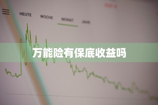 万能险有保底收益吗