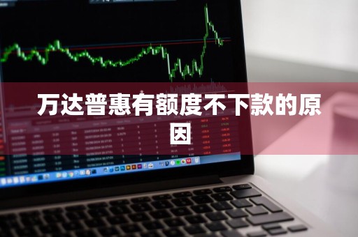 万达普惠有额度不下款的原因