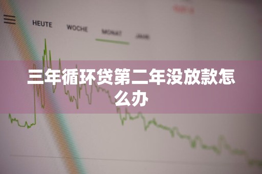 三年循环贷第二年没放款怎么办
