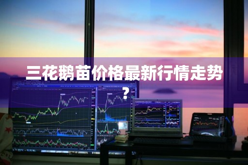 三花鹅苗价格最新行情走势？