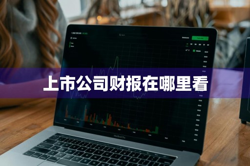 上市公司财报在哪里看
