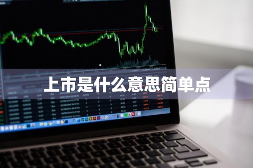 上市是什么意思简单点