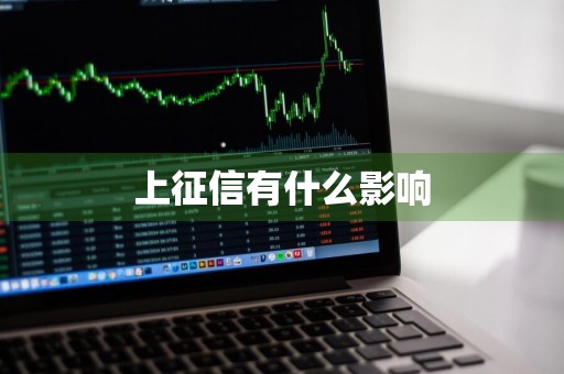 上征信有什么影响