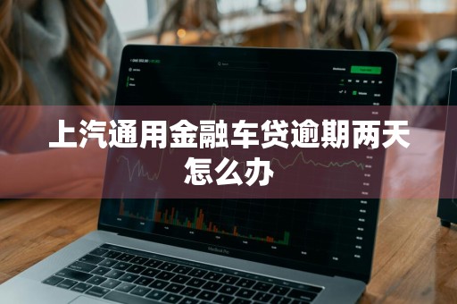 上汽通用金融车贷逾期两天怎么办