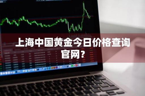 上海中国黄金今日价格查询官网？