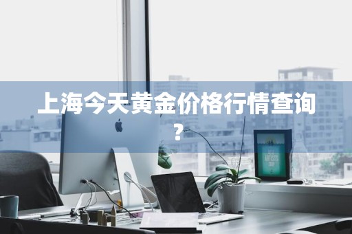 上海今天黄金价格行情查询？
