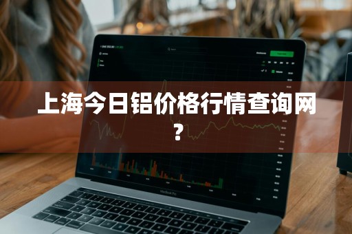 上海今日铝价格行情查询网？