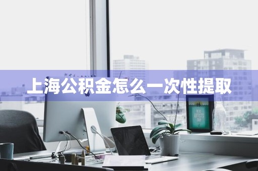 上海公积金怎么一次性提取