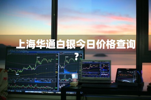 上海华通白银今日价格查询？