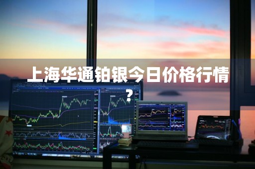 上海华通铂银今日价格行情？