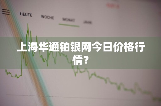 上海华通铂银网今日价格行情？