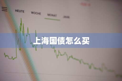 上海国债怎么买