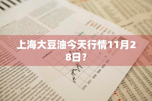 上海大豆油今天行情11月28日？