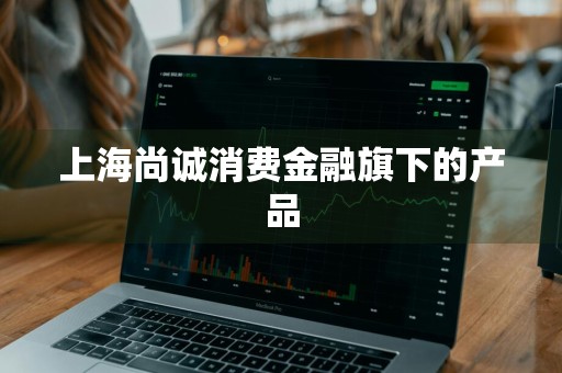 上海尚诚消费金融旗下的产品