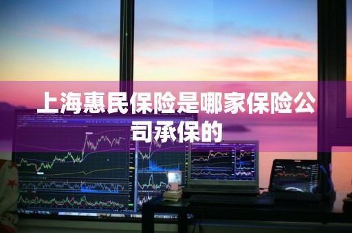 上海惠民保险是哪家保险公司承保的