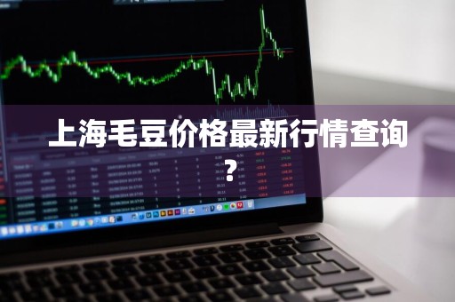 上海毛豆价格最新行情查询？