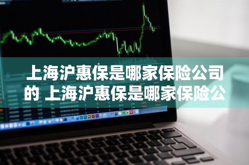 上海沪惠保是哪家保险公司的 上海沪惠保是哪家保险公司的产品