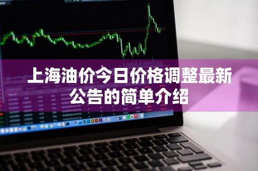 上海油价今日价格调整最新公告的简单介绍
