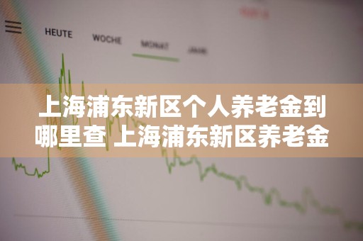 上海浦东新区个人养老金到哪里查 上海浦东新区养老金查询地址