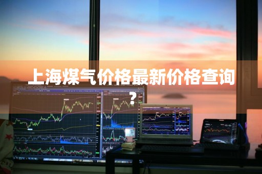 上海煤气价格最新价格查询？