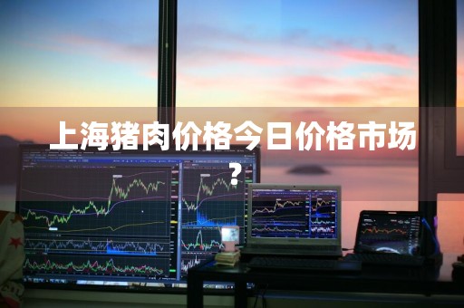 上海猪肉价格今日价格市场？