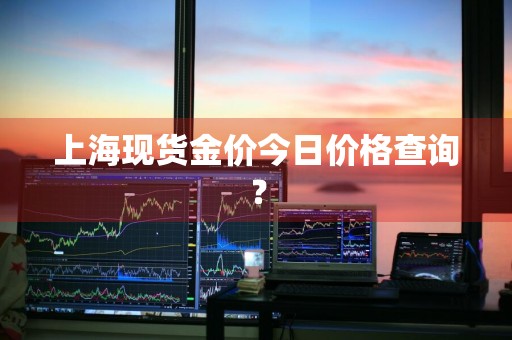 上海现货金价今日价格查询？