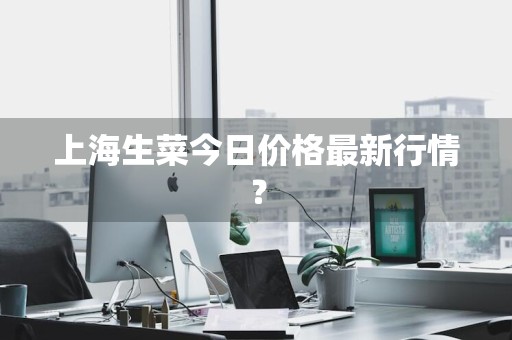 上海生菜今日价格最新行情？